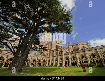 Kathedrale von Salisbury Stockfoto