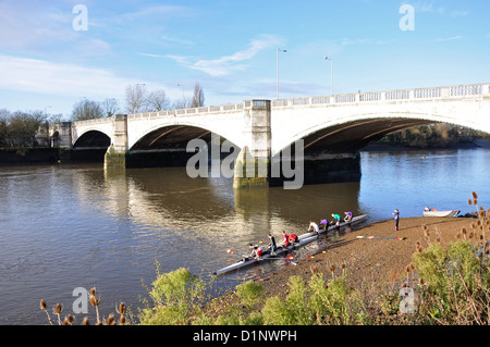 Ruderer von Chiswick Bridge, Chiswick, London Borough of Hounslow, London, Greater London, England, Vereinigtes Königreich Stockfoto