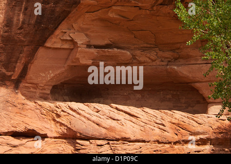 Indianische Piktogrammen hand Formen auf Sandsteinmauern Chinle Wash Canyon, Canyon de Chelly NM Arizona USA Stockfoto