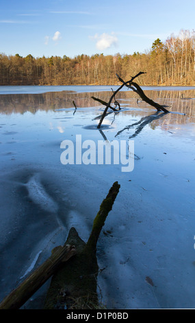 Eis bedeckt See Ustrych mit großen blauen Himmel Reflexionen. Stockfoto