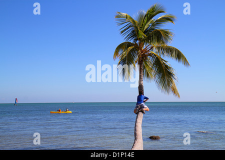 Florida Florida Keys, US Highway Route 1 One, Overseas Highway, Upper Matecombe Key, Islamorada, The Moorings Village und & Spa, Resort, Atlantischer Ozean Wasser Stockfoto