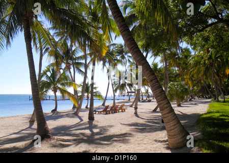 Florida Florida Keys, US Highway Route 1 One, Overseas Highway, Upper Matecombe Key, Islamorada, The Moorings Village und & Spa, Resort, Gelände, Atlantic OCE Stockfoto