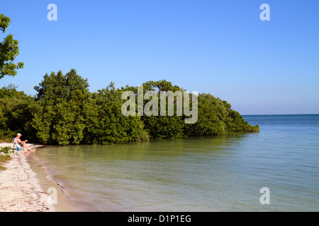 Florida Florida Keys, Lower Matecombe Key, US Highway Route 1 One, Overseas Highway, Islamorada, Florida Keys National Marine Sanctuary, Anne's Beach, Atlant Stockfoto