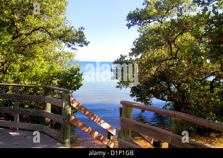 Florida Florida Keys, Lower Matecombe Key, US Highway Route 1 One, Overseas Highway, Islamorada, Florida Keys National Marine Sanctuary, Anne's Beach, Atlant Stockfoto