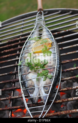 Fisch auf dem Grill Grillen Stockfoto