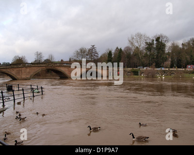 Fluß Severn mit steigenden Hochwasser am Bewdley, Worcestershire. Dezember 2012 Stockfoto