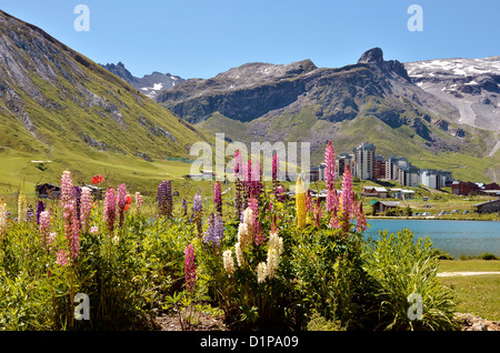 Tignes le Lac mit Lupinen Blumen und Tignes Val Claret im Hintergrund. Tignes ist eine Gemeinde in der Tarentaise-Tal, Savoie Stockfoto