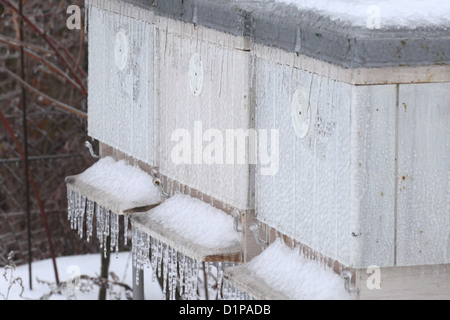 Die Bienenstöcke nach dem Nacht-Eis-Regen von Eis bedeckt. Ort: Männliche Karpaty, Slowakei. Stockfoto