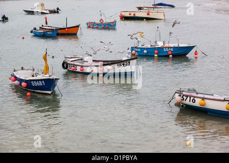 Möwen fliegen um Angelboote/Fischerboote vertäut im Hafen von St. Ives, Cornwall. Stockfoto