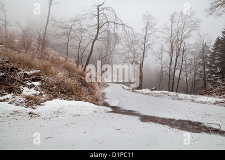 Schnee und Nebel in den Harzer Bergen Stockfoto