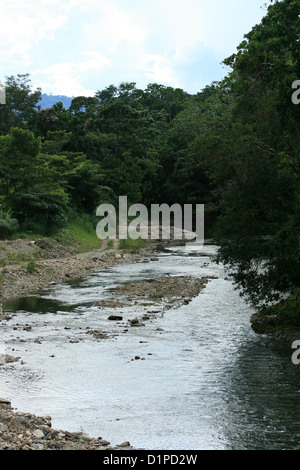 Ein kleiner Fluss schlängelt sich durch den Dschungel im Regenwald in Tena, Ecuador Stockfoto