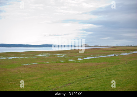 Blick auf die ländliche Severn Mündung in Richtung Oldbury Power Station und der vorgeschlagene Standort für ein neues Kernkraftwerk Stockfoto