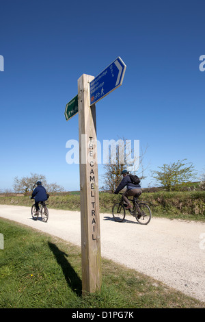 Zwei Radfahrer auf der Camel Trail, North Cornwall. Stockfoto