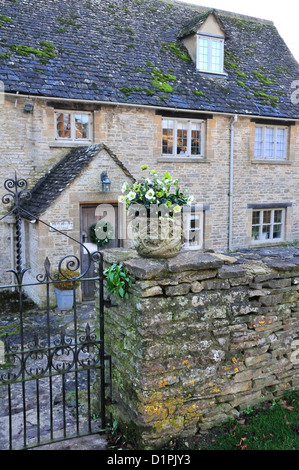 Weiße Weihnacht Rosen in einen Stein Pflanzmaschine am Tor Eingang zu einem Cotswold House in Swinford, Oxfordshire, UK, England Stockfoto