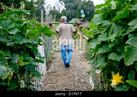 Schwarzer Mann zu Fuß mit Schaufel im Gemeinschaftsgarten Stockfoto