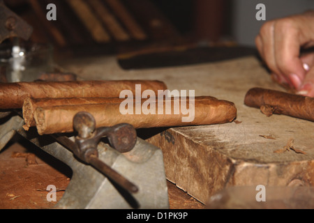 Hand rollt eine Zigarre in Kuba Stockfoto