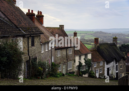 Eine Reihe von Hütten auf einer steilen gepflasterten Straße in Gold Hill in Shafetsbury, Dorset Stockfoto