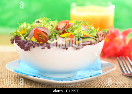 Frischer gemischter Salat aus roten Blattsalat, Endivien (Frisee), Cherry-Tomate, rote Zwiebel, Gurke und Paprika Stockfoto