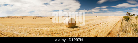 Erntezeit mit Heuballen in der Sommersonne Stockfoto