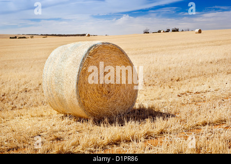 Erntezeit mit Heuballen in der Sommersonne Stockfoto