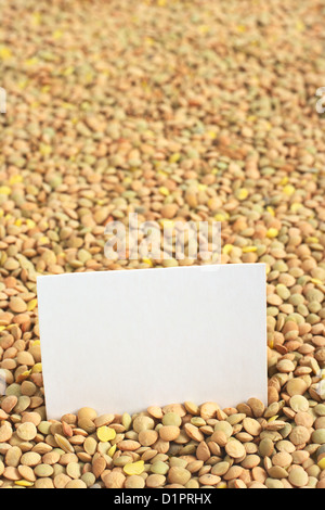 RAW getrocknete braune Linsen (lat. Lens Culinaris) mit einer leeren Karte (selektiven Fokus, Fokus auf der Karte) Stockfoto