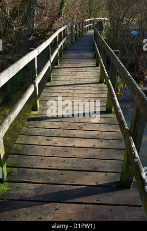 Holzsteg über den Fluss Test, Wherwell, Hampshire, England, Großbritannien Stockfoto