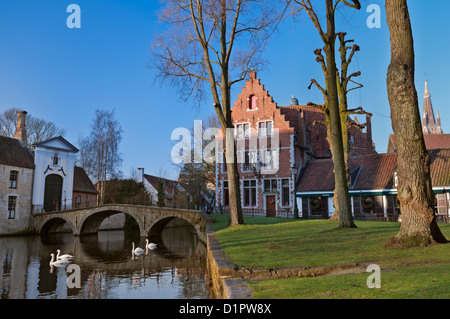 Minnewater Park Brügge Belgien Stockfoto