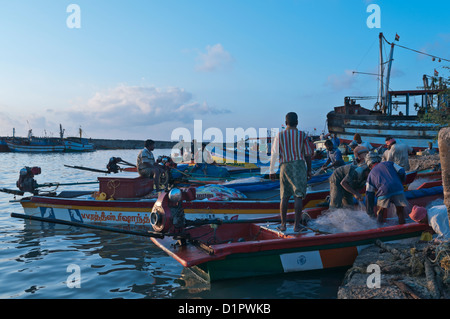 Angelboote/Fischerboote im Morgengrauen Nagapattinam Fischerdorf Tamil Nadu, Indien Stockfoto