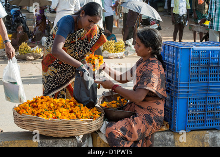 Indische Frau Ringelblumen in einem Korb für hindu Puja Angebote zu verkaufen. Andhra Pradesh, Indien Stockfoto