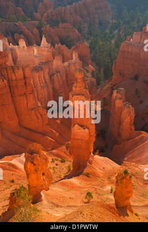 Thors Hammer in den frühen Morgenstunden vom Sunset Point, Bryce-Canyon-Nationalpark, Utah, USA Stockfoto