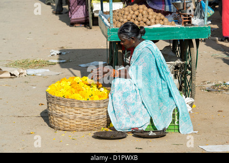 Indische Frau Ringelblumen in einem Korb für hindu Puja Angebote zu verkaufen. Andhra Pradesh, Indien Stockfoto