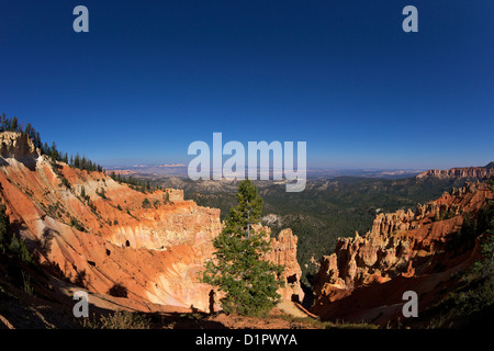 Blick am frühen Morgen vom Ponderosa Point, Bryce-Canyon-Nationalpark, Utah, USA Stockfoto