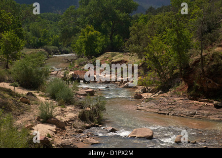 Touristen auf dem Pferderücken in der Virgin River, Zion Lodge Bereich, Zion Nationalpark, Utah, USA Stockfoto