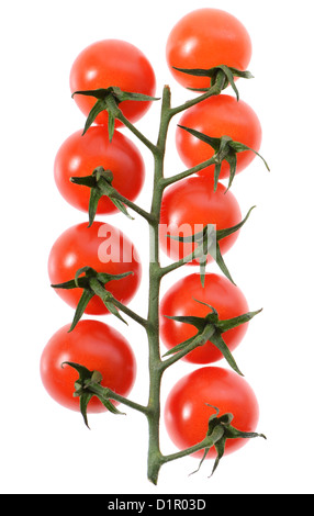 Zweig der Kirschtomaten isoliert auf weißem Hintergrund Stockfoto