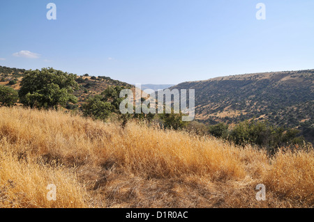 Israel, südlichen Golan-Höhen, Landschaft Stockfoto