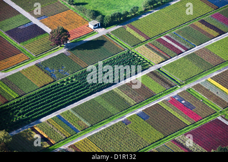 Die Niederlande, Veenendaal, Blumen und Pflanzen Baumschule. Luft. Stockfoto