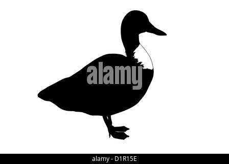 Ente-Silhouette isoliert Stockfoto