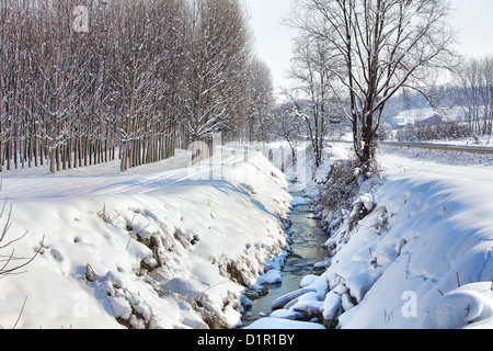 Kleiner Bach fließt durch Schneeverwehungen entlang Bäume im ländlichen Bereich fallenden Schnee im Winter im Piemont, Norditalien. Stockfoto