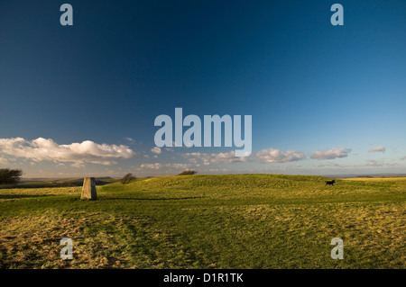 Bronzezeit runden Barrow und trigonometrischen Punkt auf der South Downs Way in der Nähe von Eastbourne, East Sussex, UK Stockfoto