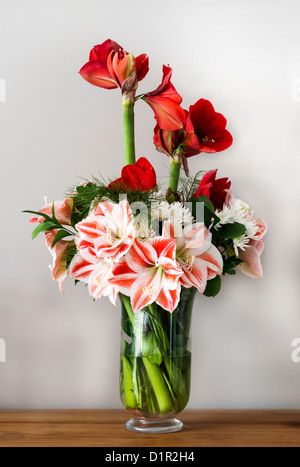 Bouquet mit Amaryllis in rot und pink Stockfoto