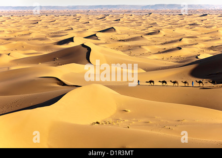 Marokko, M' Hamid, Erg Chigaga Dünen. Wüste Sahara. Kameltreiber und Kamel-Karawane.