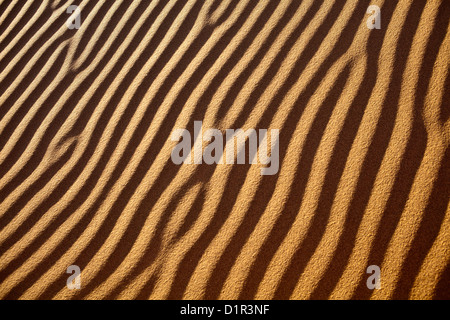 Marokko, M' Hamid, Erg Chigaga Dünen. Wüste Sahara. Rippelmarken Detail. Stockfoto
