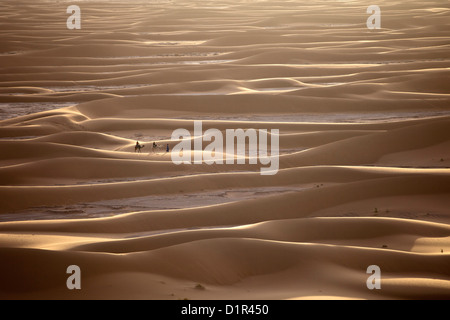 Marokko, M' Hamid, Erg Chigaga. Wüste Sahara. Kamel-Treiber, Kamel-Karawane und Touristen machen eine Tour durch die Sanddünen. Stockfoto