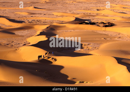 Marokko, M' Hamid, Erg Chigaga Dünen. Wüste Sahara. Tourist camp, Biwak. Kamel-Karawane. Stockfoto