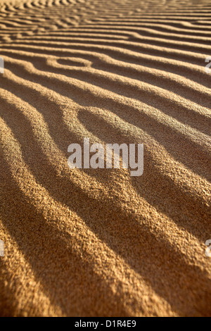 Marokko, M' Hamid, Erg Chigaga Dünen. Wüste Sahara. Rippelmarken Detail. Stockfoto