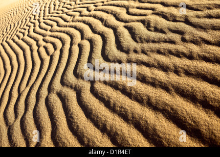 Marokko, M' Hamid, Erg Chigaga Dünen. Wüste Sahara. Rippelmarken Detail. Stockfoto