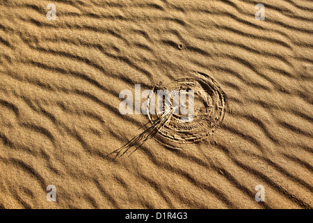 Marokko, M' Hamid, Erg Chigaga Dünen. Wüste Sahara. Rippelmarken Detail. Kleinen Busch machen markiert Sand rechtzeitig eingereicht. Stockfoto