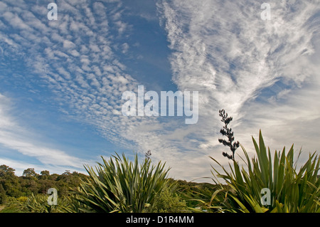 Attraktive Darstellung der oberen Cloud als eine Kaltfront löscht nach Osten an McLean Falls in den Catlins, Neuseeland Stockfoto