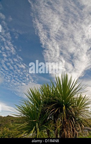 Attraktive Darstellung der oberen Cloud als eine Kaltfront löscht nach Osten an McLean Falls in den Catlins, Neuseeland Stockfoto