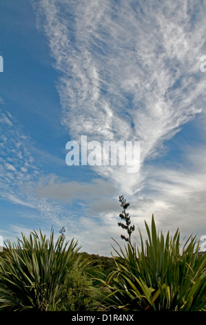 Attraktive Darstellung der oberen Cloud als eine Kaltfront löscht nach Osten an McLean Falls in den Catlins, Neuseeland Stockfoto